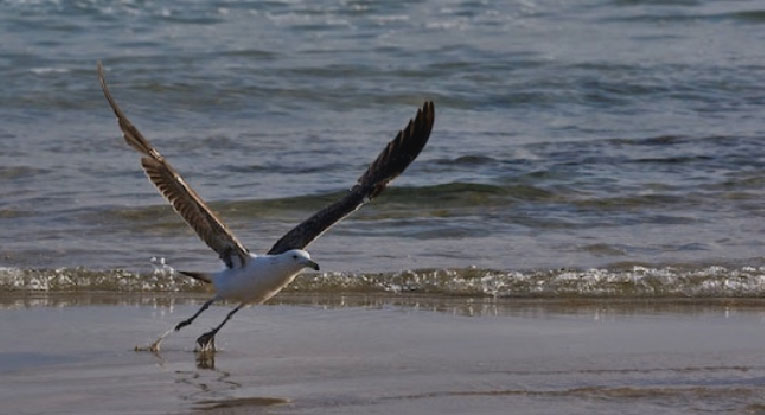 Cómo reiniciar tu pyme