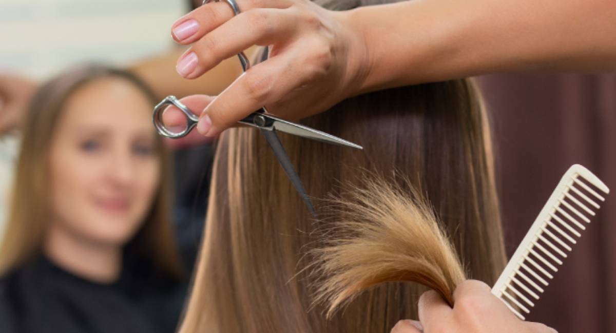 Entre el 1 y el 30 de enero de 2024, 28.000 Contribuyentes del RST deberán actualizar su RUT si evidencian que no pueden estar en este régimen