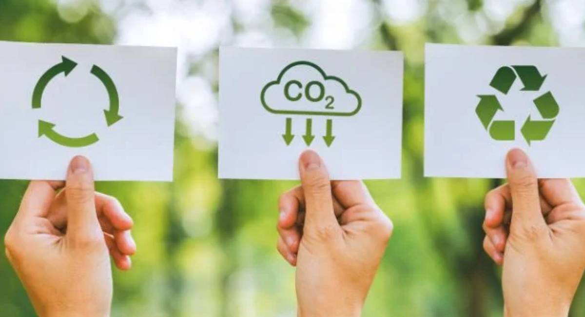 La sustentabilidad en las empresas