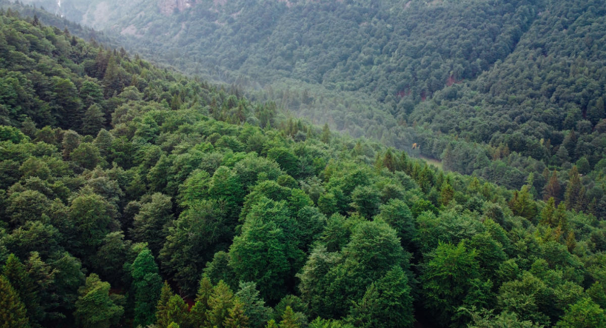 Cómo comunicar en sostenibilidad sin caer en el greenwashing