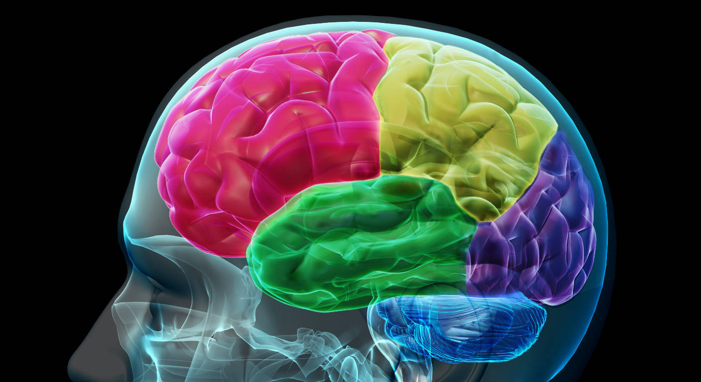 Neuroventas: cómo conectar con el cliente desde la emoción